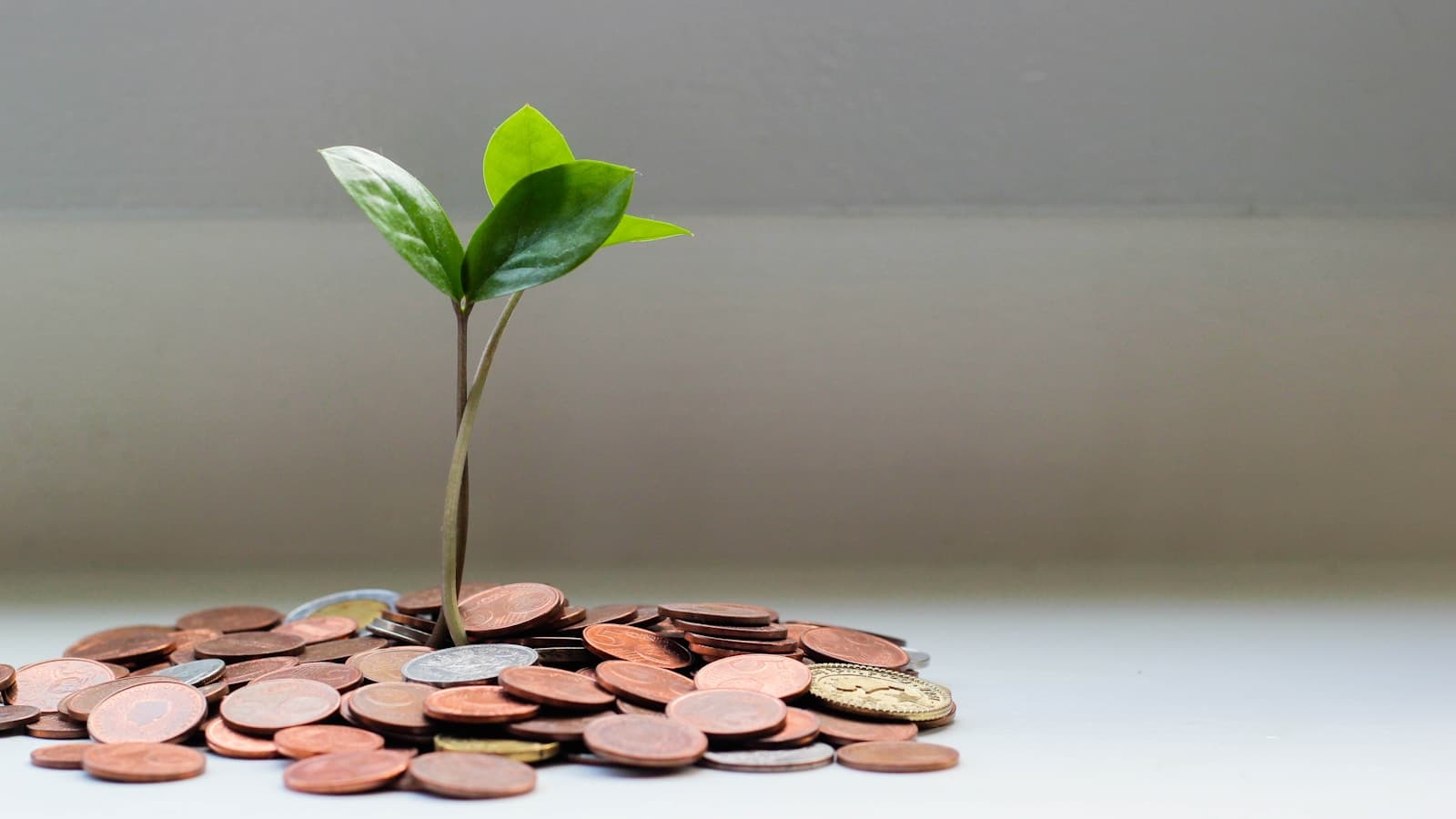 Prediction Market Fees Explained: What Kalshi, Polymarket, Robinhood, and IBKR Actually Charge